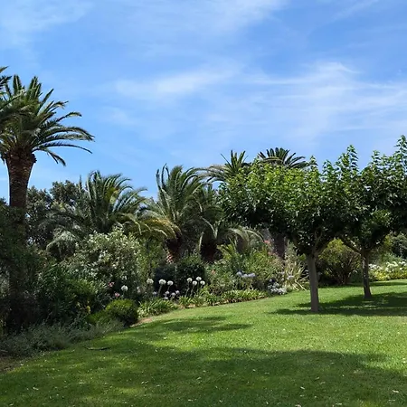 Pretty T5 With Wifigarden And Pool